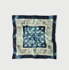 76-フェザーペイズリー色違い