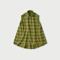 64-ミドリボーダー